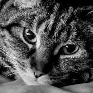 Meet your Posher, Debs G